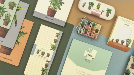 Houseplants - Hortus Botanicus