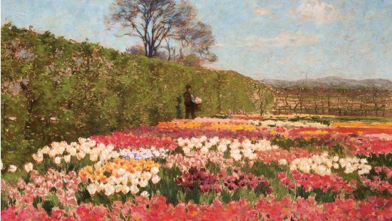 Museum De Zwarte Tulp