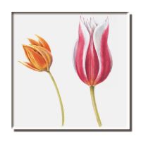 Koelkastmagneet: Collage of Tulips (details), Anita Walsmit Sachs