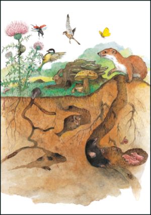 Uit 'van Mug tot Olifant', Ingrid & Dieter Schubert