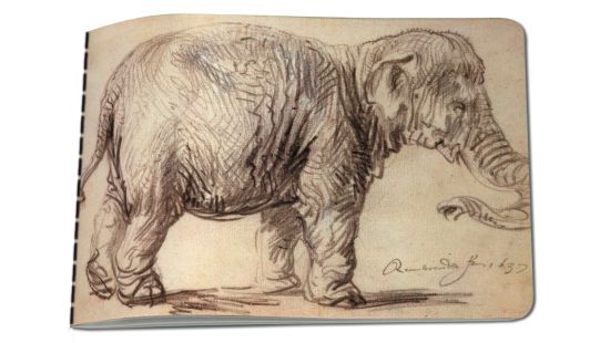 Schetsboek A5: An Elephant, Rembrandt van Rijn, Museum het Rembrandthuis