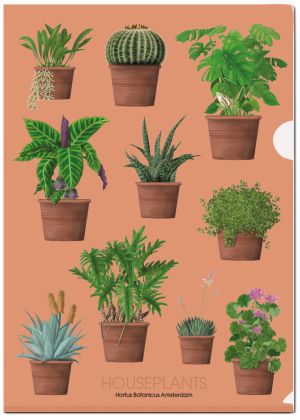 L-mapje A4 formaat: Houseplants, Kelly van Koppenhagen, Hortus Botanicus Amsterdam