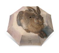 Vouwparaplu: Feldhase, Albrecht Dürer, Albertina