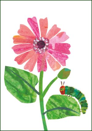 Flowers, The very hungry caterpillar, Eric Carle