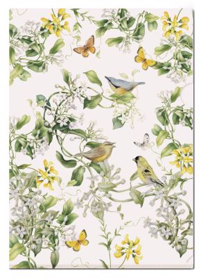 L-mapje A4 formaat: Vogels in blauweregen, Janneke Brinkman