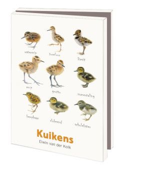 Kaartenmapje met env, klein: Kuikens, Elwin van der Kolk, Vogelbescherming