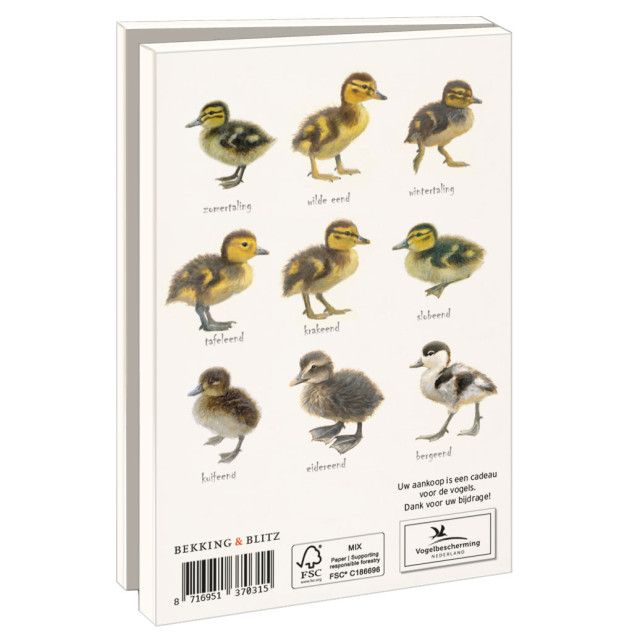 Kaartenmapje met env, klein: Kuikens, Elwin van der Kolk, Vogelbescherming