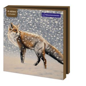Kaartenmapje met env, vierkant: Dieren in de Sneeuw, Hans Bulder, Natuurmonumenten
