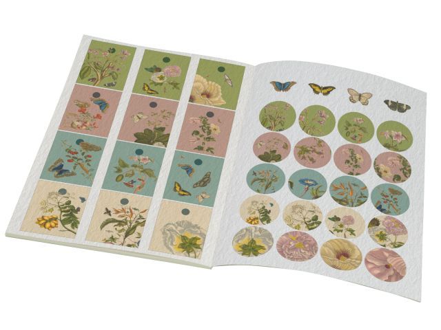 Cadeaupapier: Maria Sibylla Merian, Rijksmuseum Amsterdam