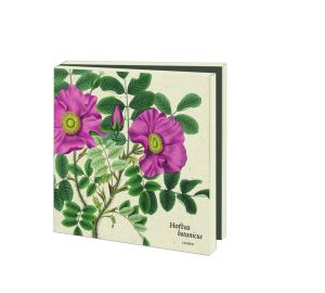 Kaartenmapje met env, vierkant: Flora Japonica, Hortus Leiden