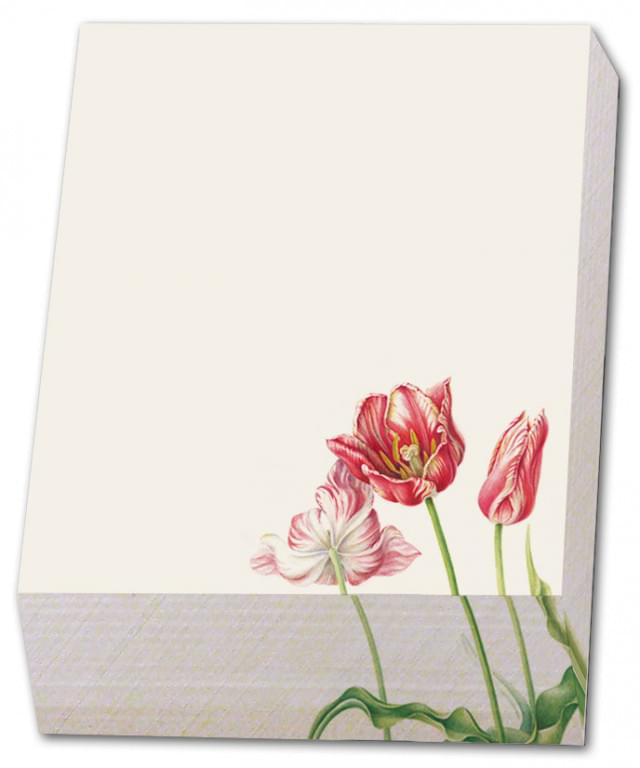 Memo blocnote: Tulipa 'Zomerschoon', Anita Walsmit Sachs