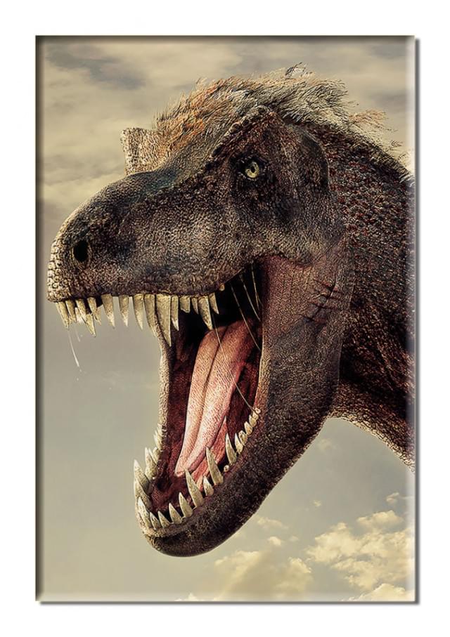 Koelkastmagneet: T. rex van Naturalis
