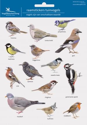 Raamstickers: Vogels, Elwin van der Kolk, Vogelbescherming Nederland