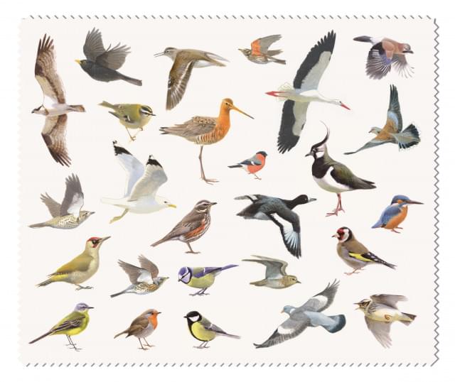 Brillendoekje: Vogels, Elwin van der Kolk, Vogelbescherming Nederland