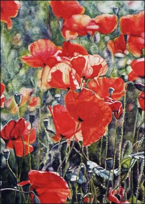 Poppies, The poppie of Tuscany, Yvonne Melchers