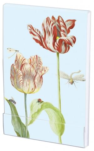 Notitieblokje: Tulpen/Tulips, Jacob Marrel, Collection Rijksmuseum Amsterdam