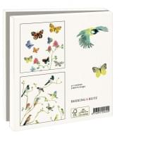 Kaartenmapje met env, vierkant: Vlinders, Alice Appleton