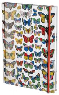 Notitieboek A6, harde kaft: Plaat met vlinders