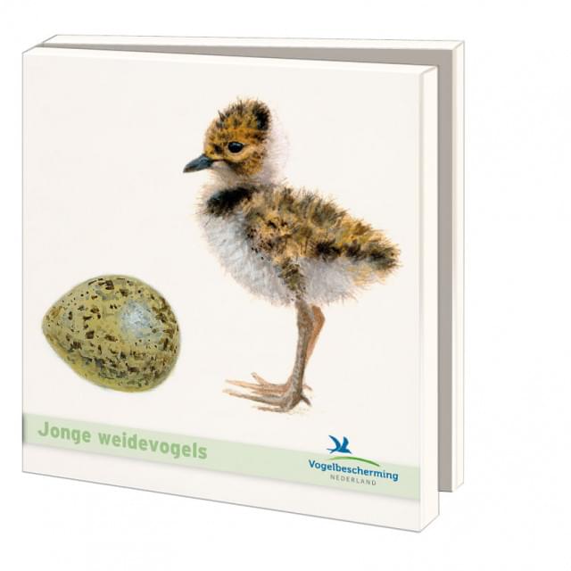 Kaartenmapje met env, vierkant: Jonge weidevogels, Elwin van der Kolk, Vogelbescherming