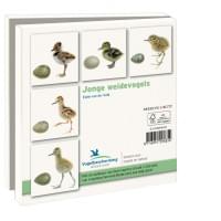 Kaartenmapje met env, vierkant: Jonge weidevogels, Elwin van der Kolk, Vogelbescherming