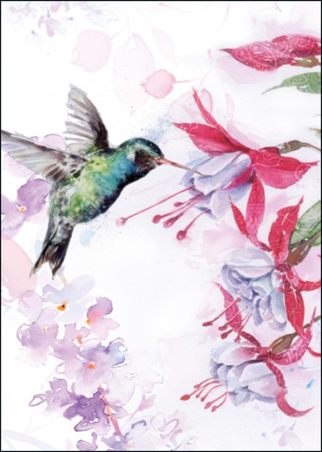 Humming Bird 2, Harrison Ripley