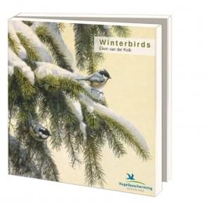 Kaartenmapje met env, vierkant: Winterbirds, Elwin van der Kolk, Vogelbescherming Nederland