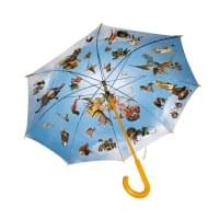 Paraplu: Pieter Bruegel