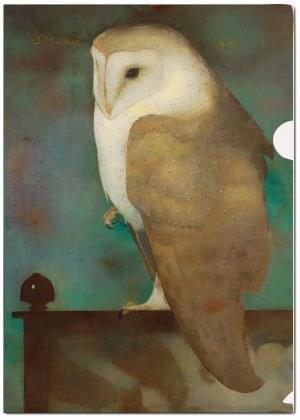 L-mapje A4 formaat: Grote uil op scherm, Jan Mankes, Museum More