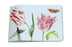 Schetsboek: Tulpen / Tulips, Jacob Marrel, Collection Rijksmuseum Amsterdam
