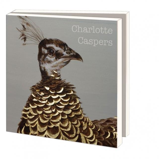 Kaartenmapje met env, vierkant: Vogels, Charlotte Caspers