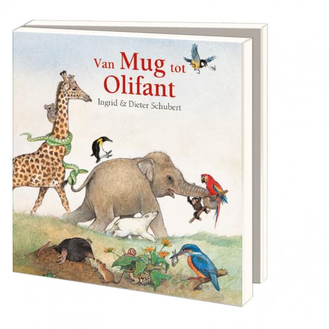 Kaartenmapje met env, vierkant: Van Mug tot Olifant, Ingrid & Dieter Schubert