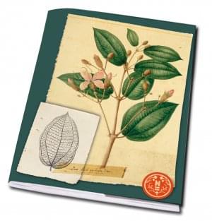 Schrift A5: Herbarium, Naturalis Biodiversity Center