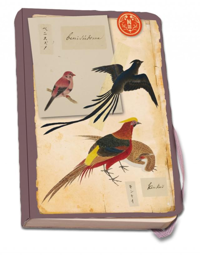 Notitieboek A5, zachte kaft: Vogels, Naturalis Biodiversity Center