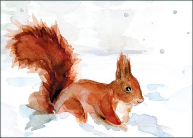 Winter Animals, Eekhoorn, Michelle Dujardin