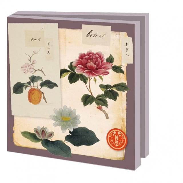 Kaartenmapje met env, vierkant: Bloemen, Philipp Franz von Siebold, Naturalis Biodiversity Center