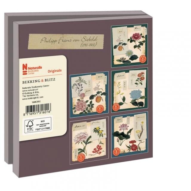 Kaartenmapje met env, vierkant: Bloemen, Philipp Franz von Siebold, Naturalis Biodiversity Center