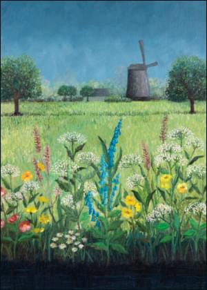 Landschap, Laetitia de Haas