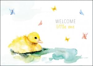 Welcome little one (duck/eendje), Michelle Dujardin