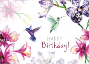 Happy Birthday! (hummingbird/kolibrie), Michelle Dujardin
