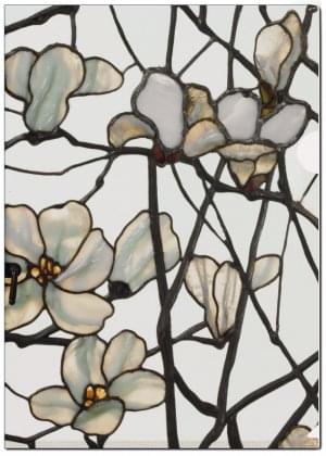 L-mapje A4 formaat: Magnolias, Louis Comfort Tiffany, Morse Museum