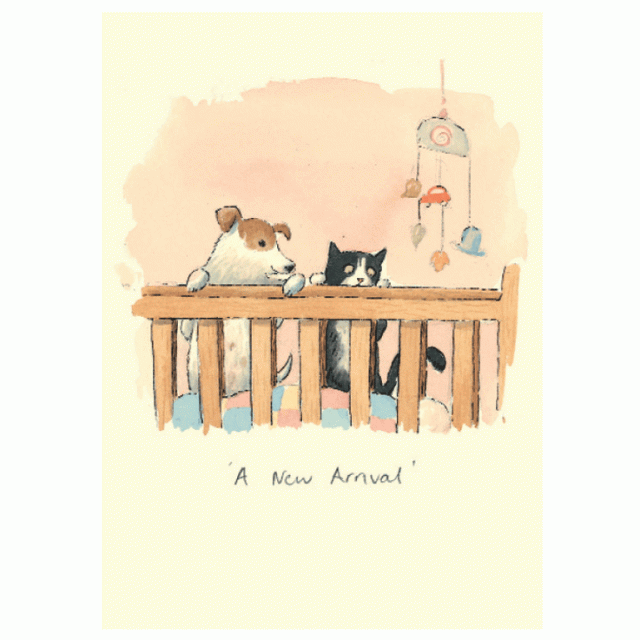 New Arrival Card  by Alison Friend