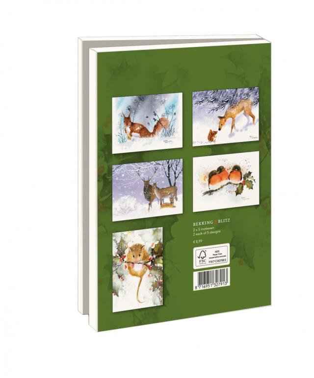 Kaartenmapje met env, groot: Winterdieren, Rachel Mc Naughton