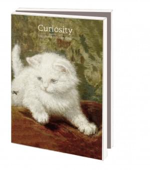 Kaartenmapje met env, klein: Curiosity, Henriëtte Ronner-Knip
