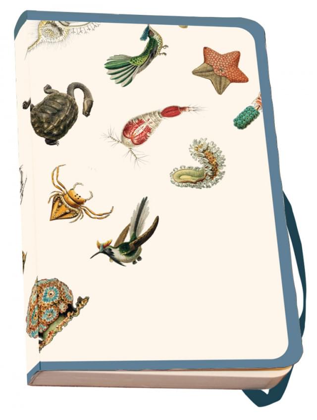 Notitieboek A6, zachte kaft: Art Forms in Nature, Ernst Haeckel, Teylers Museum