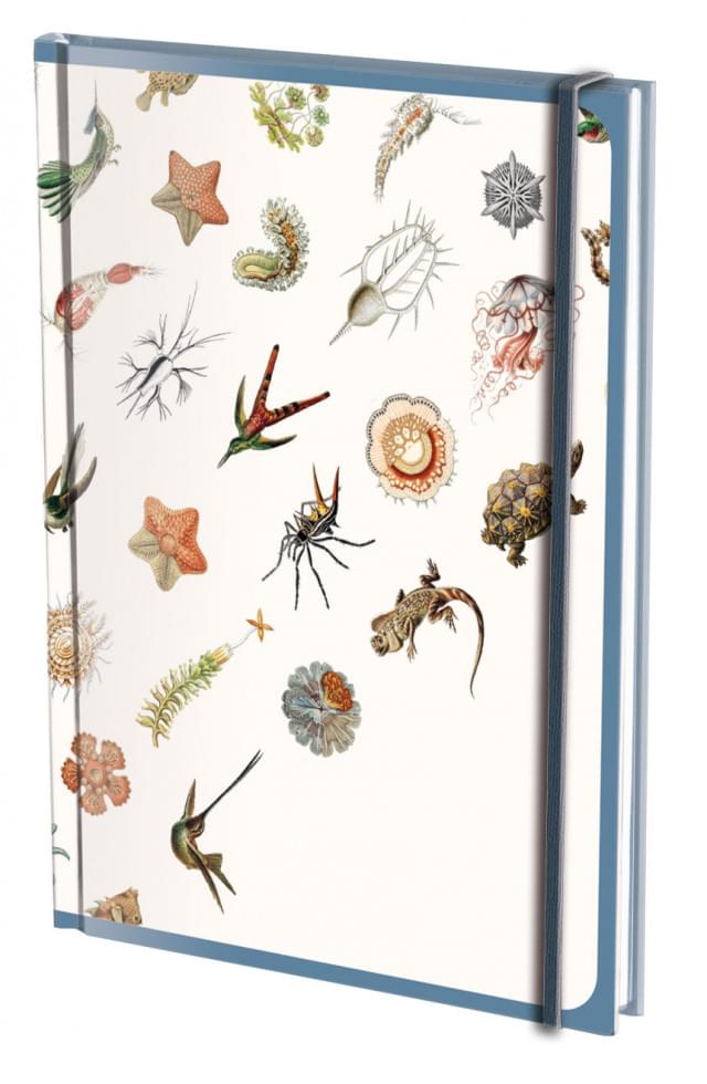 Notitieboek A5, harde kaft: Art Forms in Nature, Ernst Haeckel, Teylers Museum