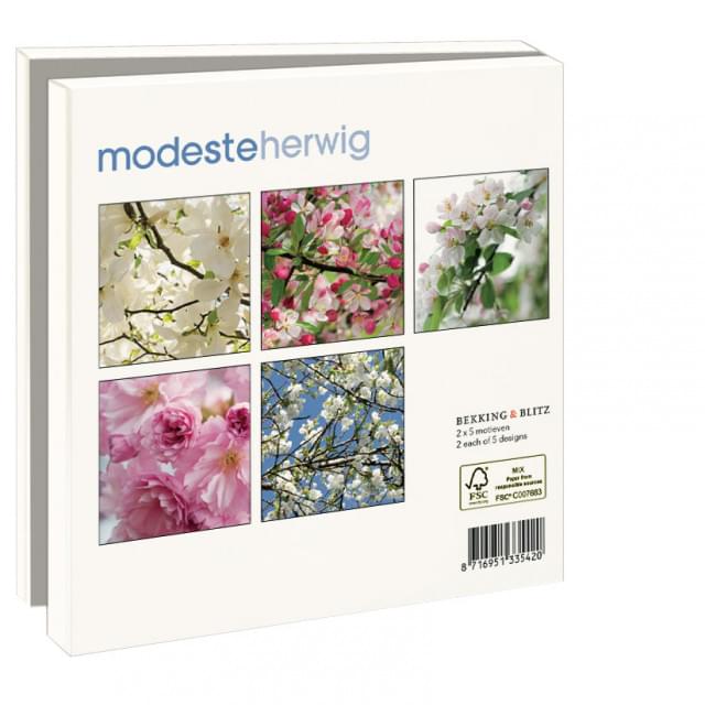Kaartenmapje met env, vierkant: Bloesem, Modeste Herwig