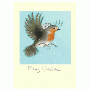 Merry Christmas Robin card by Julian Williams