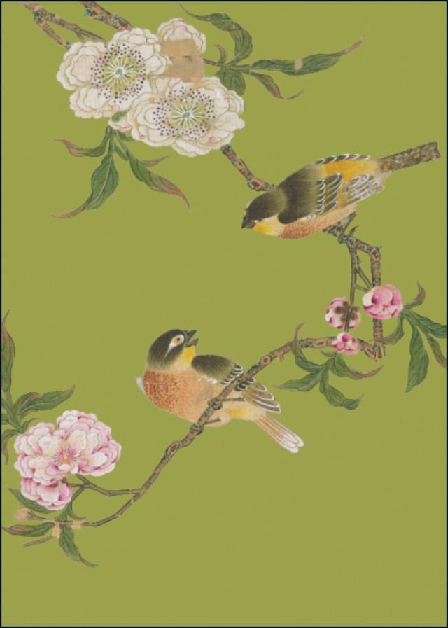 Album of birds and flowers (groen), Hu Feitao, Chester Beatty