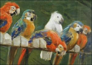 Papegaaien, Alceste Campriani