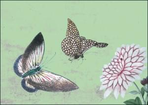 Chinees behang papier (vlinders), Kasteel Heeswijk